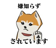 841364610