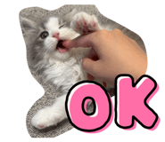 841365060