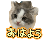 841365070