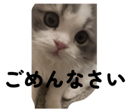 841365077