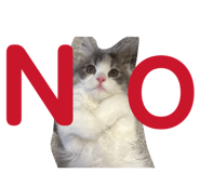 841365080