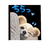 841365425