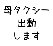 841365554
