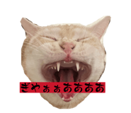 841365755
