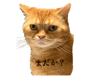 841365756