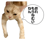 841365757