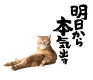841365773