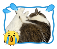 841365934