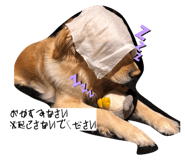 841365949