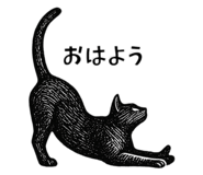 841366681