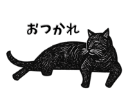 841366684