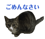 841366938