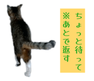 841366943
