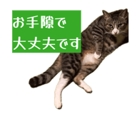 841366945