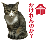 841366948