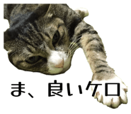 841366949