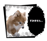 841367147