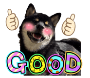 841367412