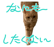 841367998