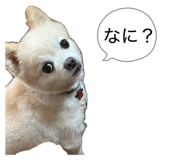 841368537