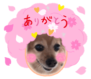 841368547