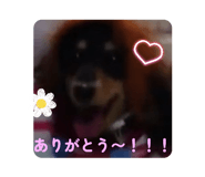 841368943