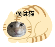 841369055