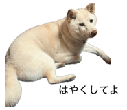 841369155