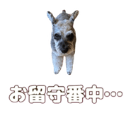 841369619