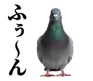 841369731