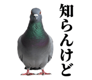 841369732