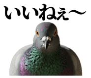 841369733