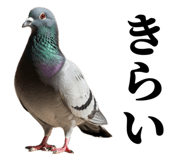 841369735