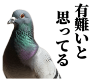 841369737
