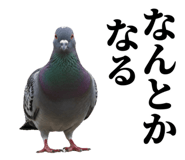 841369745