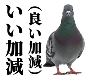 841369750