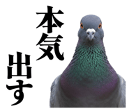 841369752
