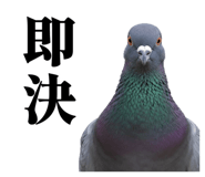 841369753