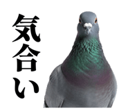 841369754