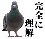 841369756