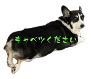 841369864