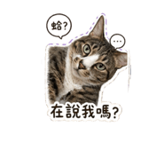 841376354
