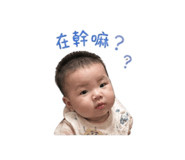 841376808