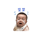 841376816