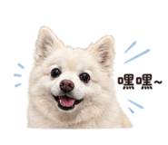 841377420
