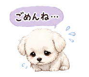 841377666