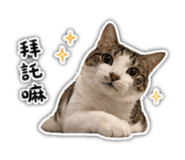 841377801
