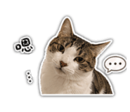 841377806