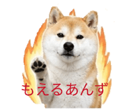 841378724