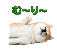 841378725